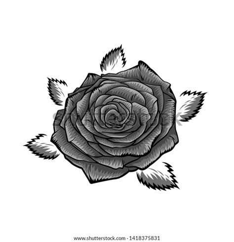 Vector Black White Rose Vector Illustration Stock Vector Royalty Free
