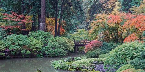Fall Color Update October 29 2018 Portland Japanese Garden