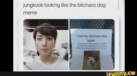 Jungkook Looking Like The Bitchass Dog Meme Ost My Bitchass Dog Again