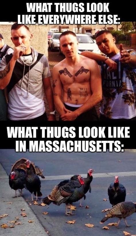 Collection by my pretty green eyes. 15 Funny Memes And Jokes About Massachusetts