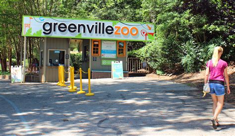Guide To The Greenville Zoo In Upstate South Carolina