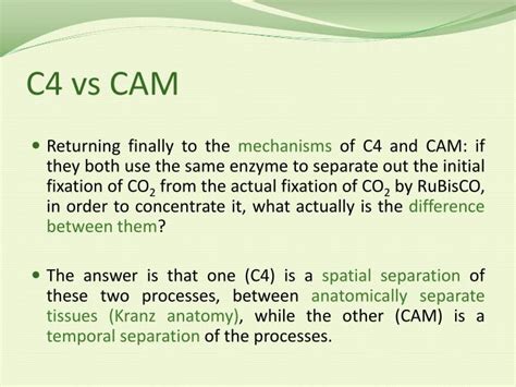 Ppt Contrasting C3 C4 And Cam Photosynthesis Overview Powerpoint