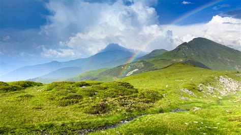 Alpine Meadow In Beautiful Rodna Mountains Romania Windows Spotlight