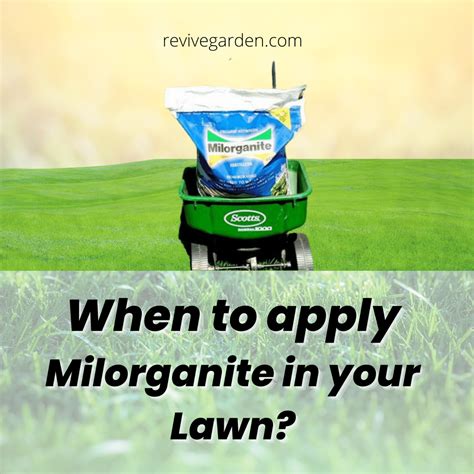 When To Apply Milorganite In Your Lawn Ultimate Guide