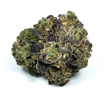 Pink Kush Strain Review San Rafael 71 Cannabis Sensei