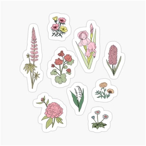 Flower Set Sticker For Sale By Maddie G Floral Stickers Tumblr