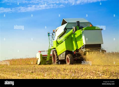 Combine Harvester Harvesting Soybean At Field Stock Photo Alamy
