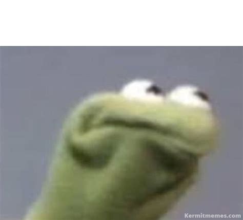 Kermit Meme Generator