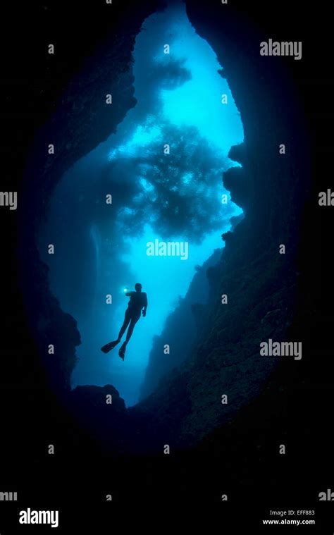 Female Scuba Diver Exploring Underwater Caves Stock Photo Alamy