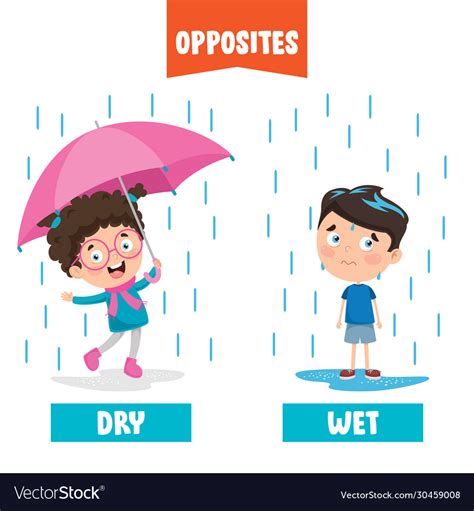 Dry And Wet Royalty Free Vector Image Vectorstock