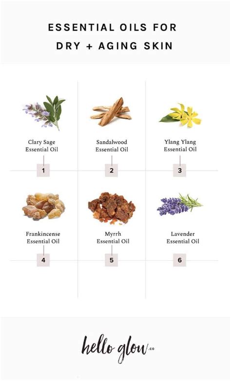 The Complete Guide To Using Essential Oils For Gorgeous Skin