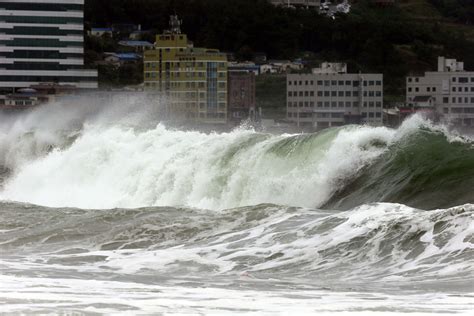 Typhoon Nakri hits southern S. Korea - The Korea Times