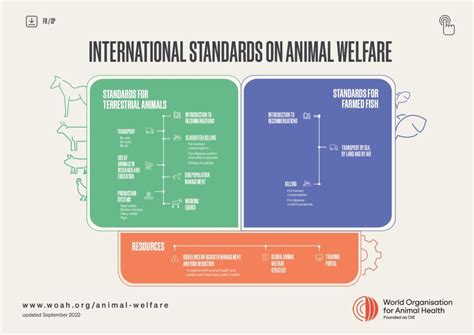 Development Of Animal Welfare Standards Woah World Organisation For
