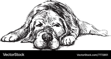 Hand Sketch Lying Dog Royalty Free Vector Image
