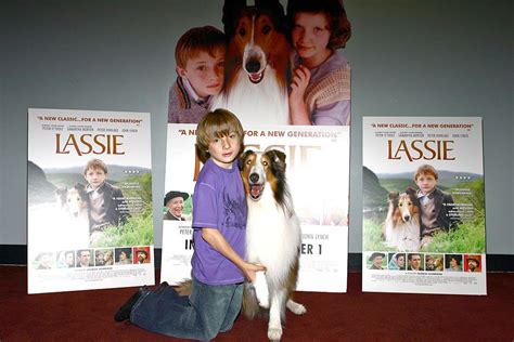 20 Facts About Lassie You Might Not Know