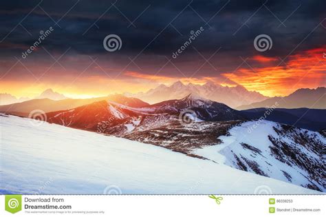 Magical Winter Snow Covered Tree Sunset In The Carpathians Ukr Stock