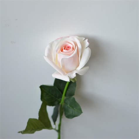 Blush Roses Real Touch Medium Roses Diy Wedding Flowers Silk Bridal