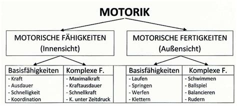 Trainingsalter definition koordinative fähigkeiten fazit koord. Fähigkeit, motorische | SWIMLEX