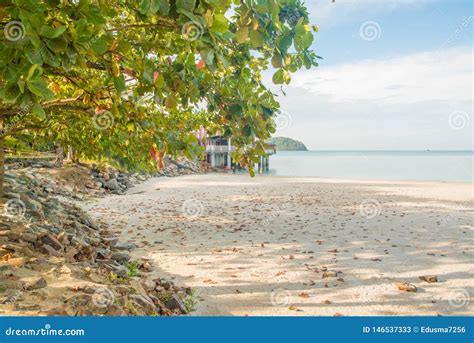 Pantai Cenang Beach In Langkawi Malaysia Stock Image Image Of Monk