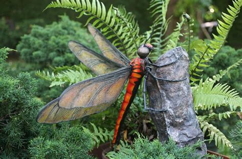 Are The Paleozoic Eras Giant Dragonflies Still Among Us