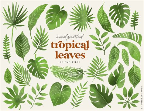 Tropical Leaves Clipart Watercolor Green Exotic Leaves Etsy