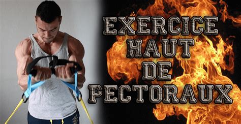Top26 Exercice Haut Des Pectoraux Pics Bts Cpi