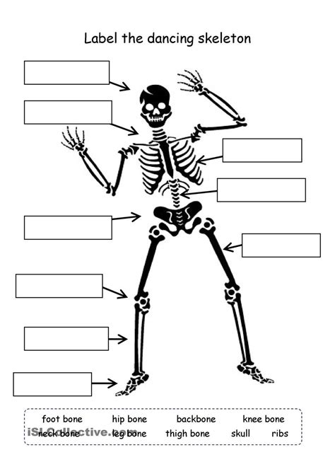 Label The Skeleton Science Worksheets Halloween Worksheets Skeleton
