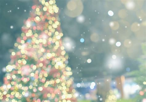 Christmas Tree Lightings In Nj 14 Must See Events In 2021
