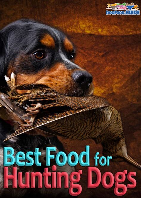 Budget dry dog food costs between $.50 and $1 per pound. 10 Healthiest & Best Dog Food For Hunting Dogs 2021