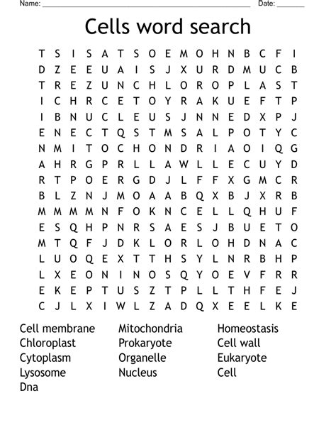 Cells Word Search Wordmint