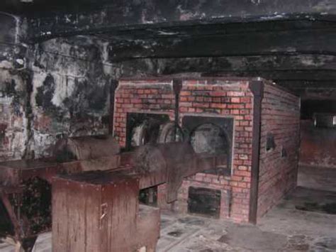 Il campo di concentramento è uno dei simboli più importanti per ricordare cosa è successo durante nel tweet furioso del museo si legge: Auschwitz Birkenau viaggio della memoria Provincia di ...