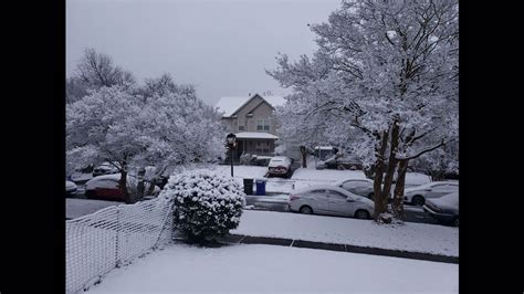 Photos Snow In Hampton Roads January 28 2021