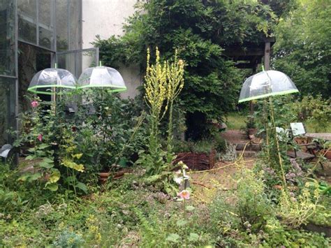 In dieser videoanleitung zeige ich, wie man günstig ein tomatendach als regenschutz selber bauen kann. Landgasthof Paulus — Projekttagebuch