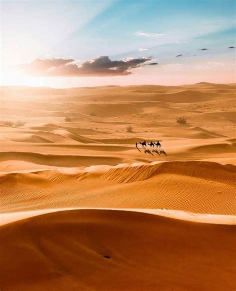 Pin By Gege Gege On Sand Desert Tour Where The Sun Rises Morocco