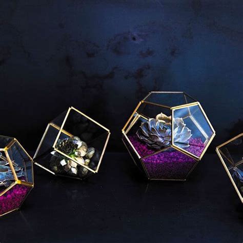 Hira Glass And Brass Terrarium Display Box