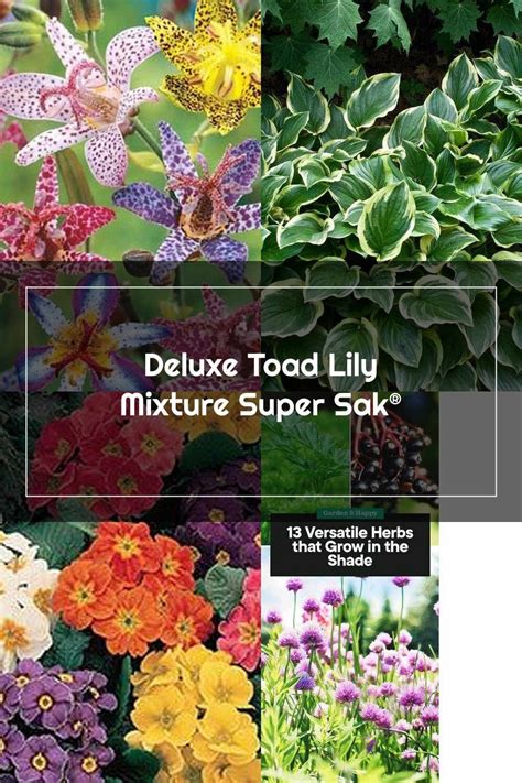 Various Types Of Flowers And Plants With The Words Deluxe Toad Lily