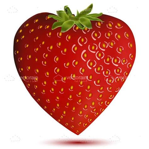 Heart Shaped Strawberry Vectorjunky Free Vectors Icons Logos And More
