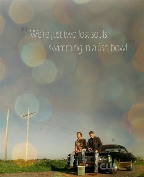 We're just two lost souls swimming in a fish bowl - Supernatural Fan