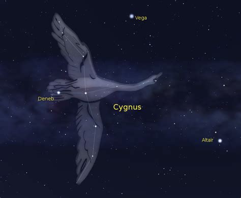 07172014 Ephemeris The Constellation Cygnus The Swan