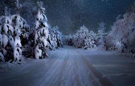 Wallpaper Winter Road Forest The Sky Snow Trees Snowflakes Night
