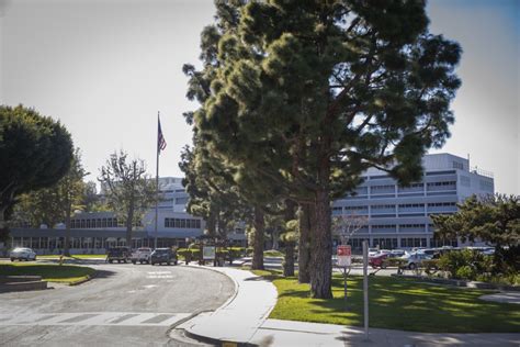 Mesa veterinary hospital is run by such warm and loving people. California opens COVID-19 field hospitals across the state ...
