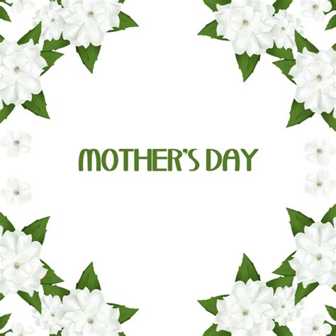 Thai Mothers Day Plant White Jasmine Border Png Images Psd Free