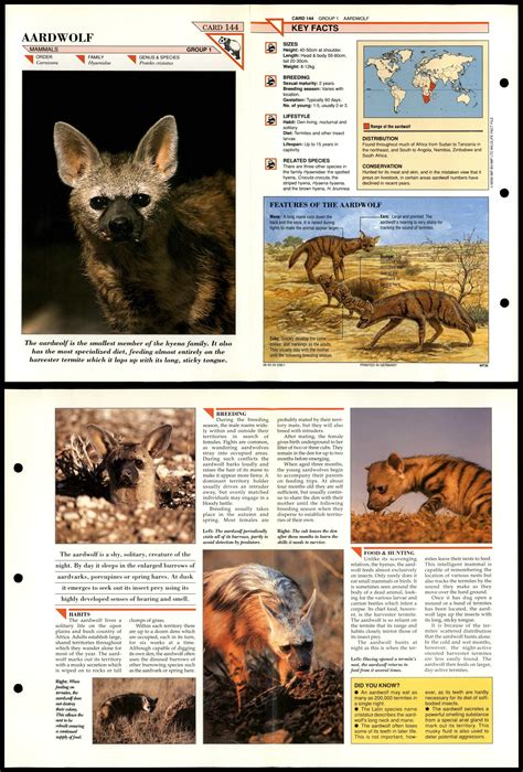 Aardwolf 144 Mammals Wildlife Fact File Fold Out Card
