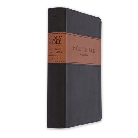 Nlt Holy Bible Giant Print Duo Tone Brown And Tan Mardel