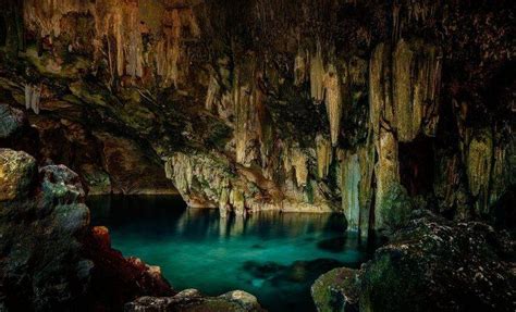Cave Cenotes Stalactites Water Nature Wallpapers Hd Desktop And