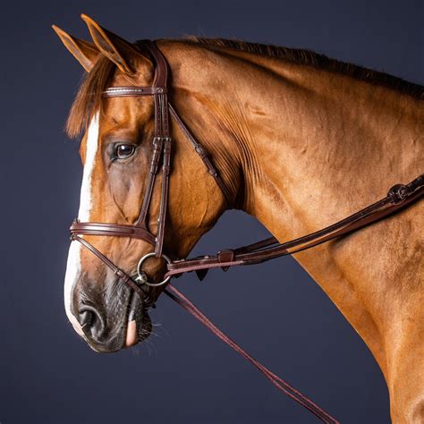 Dyon New English Collection Half Rope Draw Reins Sederholm
