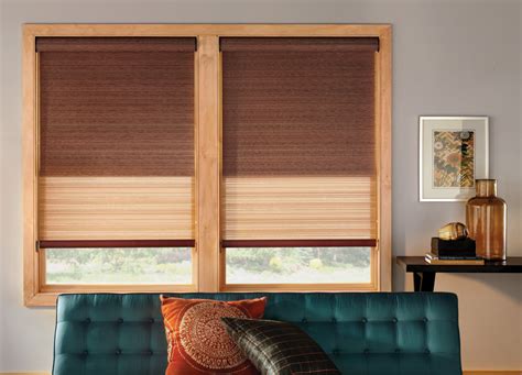 Dual Roller Shades Allows You To Get 2 Shades For The Price Of 1