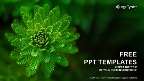 Plant Powerpoint Template Powerpoint Templates Powerpoint Templates