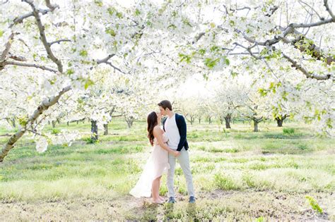 Pink Romance 15 Incredibly Beautiful Cherry Blossom Engagement Photos