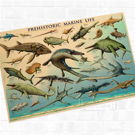 Prehistoric Marine Life Poster